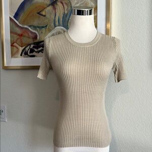 90s Vintage Silk Ann Taylor Ribbed Knit Fitted Tee
